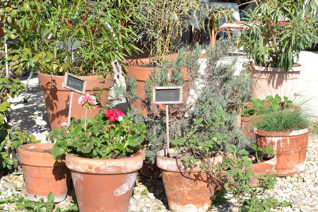 La Locanda Di Valbella Asti Bagian luar foto