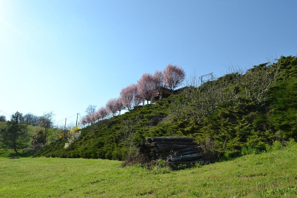 La Locanda Di Valbella Asti Bagian luar foto